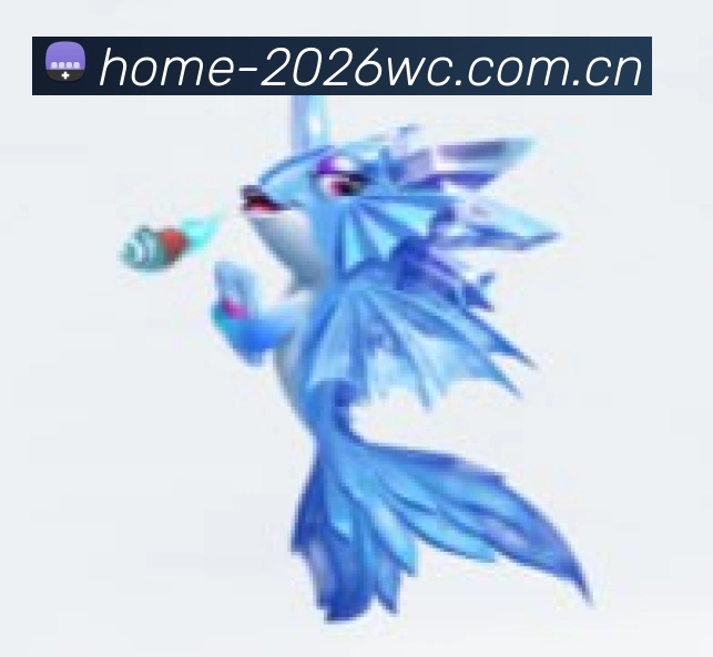 奖项证书